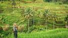 Zájazd svadobná cesta na Bali