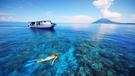Podmorský svet Sulawesi
