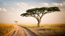 Tanzánie a Zanzibar - Serengeti jeep safari