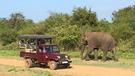 jeepové safari