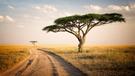 Safari, Tanzánie a kúzlo Zanzibaru