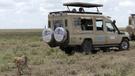 Tanzánie a Zanzibar - Serengeti jeep safari s českým průvodcem