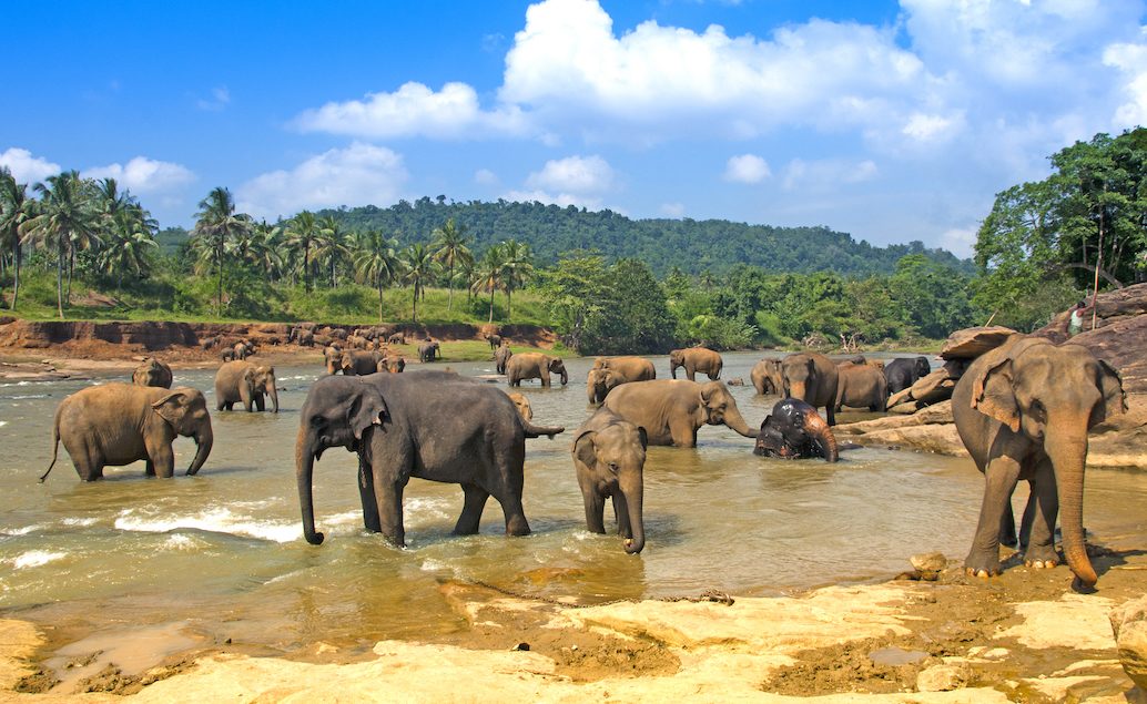 Zájazd krásy Srí Lanky s českým sprievodcom + 4* plážový hotel na záver