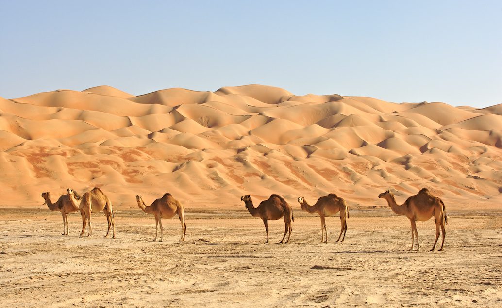 Zájazd hory a púšte Ománu