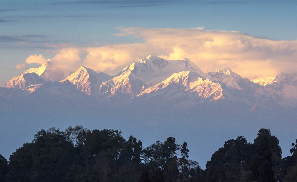 India a čajové plantáže Darjeelingu