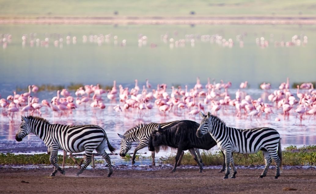 Safari Tanzánie a kouzlo Zanzibaru s českým průvodcem