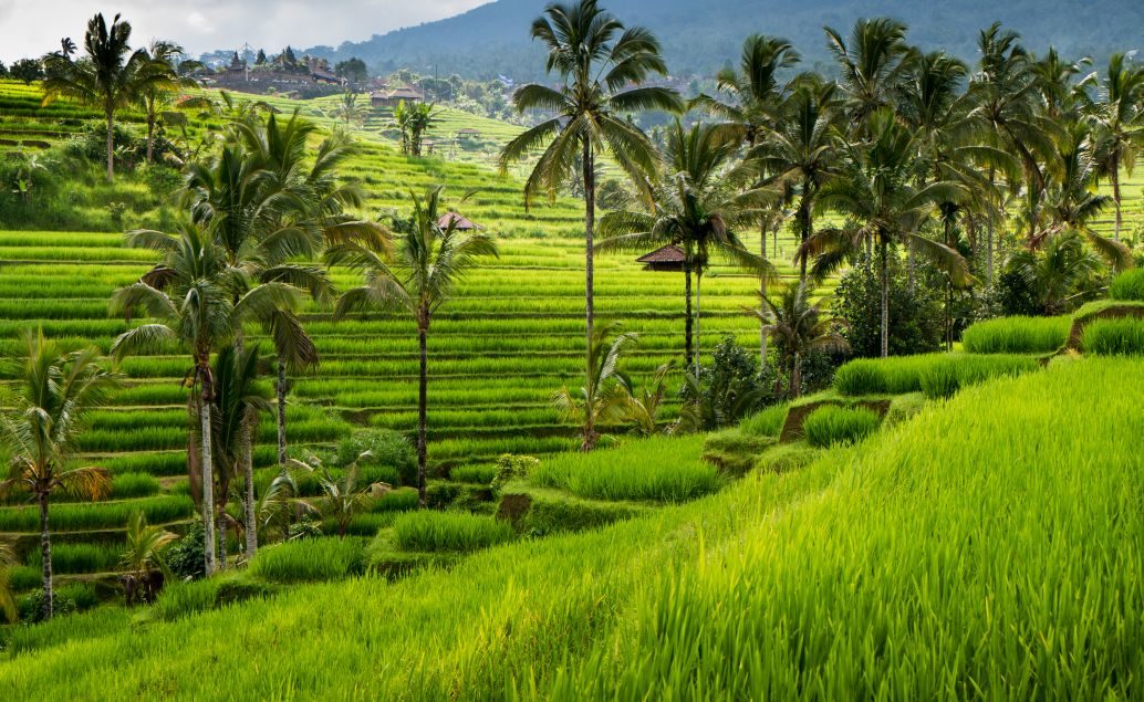 Zájazd Enduro na Bali
