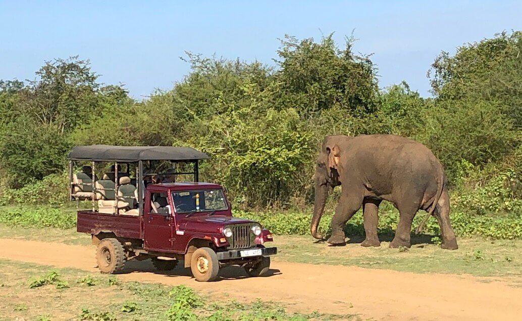 jeepové safari