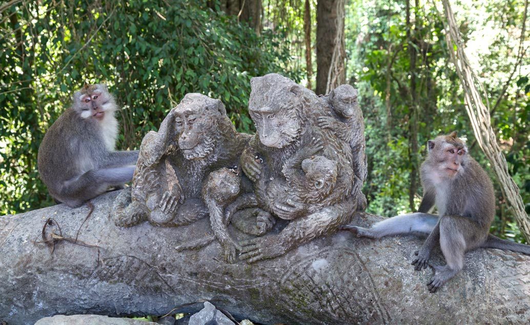 Zájazd exotický Flores, komodský drak a mystické Bali