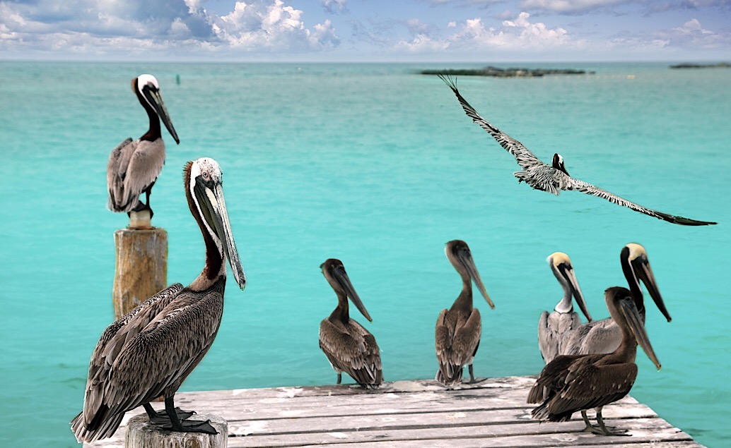 Pláže ostrova Holbox a exotická príroda Yucatánu