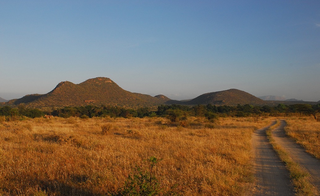 Parky severní Keni - safari pro pokročilé