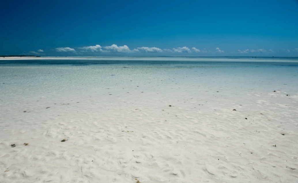  Keňa - Velká pětka a relax na Diani Beach